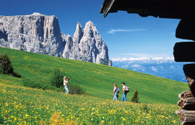 MONTAGNA ESTATE 2020 – POZZA DI FASSA dal 9 al 16 agosto – BUS GT da RIMINI MONTAGNA ESTATE 2020 – POZZA DI FASSA dal 9 al 16 agosto – BUS GT da RIMINI