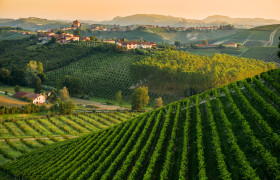 LE LANGHE – 20 /21 ottobre 2018 – BUS GT da RIMINI LE LANGHE – 20 /21 ottobre 2018 – BUS GT da RIMINI