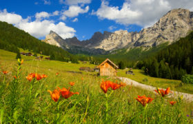 MONTAGNA ESTATE 2018 – PINZOLO – dall’ 11 al 19 agosto – Bus GT da Rimini MONTAGNA ESTATE 2018 – PINZOLO – dall’ 11 al 19 agosto – Bus GT da Rimini