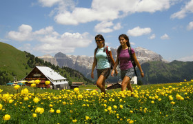 MONTAGNA ESTATE 2018 – PERA DI FASSA – dal 09 al 19 agosto – Bus GT da RIMINI MONTAGNA ESTATE 2018 – PERA DI FASSA – dal 09 al 19 agosto – Bus GT da RIMINI