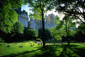 NEW YORK A PASQUA 2018 – 29 MARZO/04 APRILE – VOLO DA BOLOGNA NEW YORK A PASQUA 2018 – 29 MARZO/04 APRILE – VOLO DA BOLOGNA