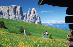 MONTAGNA ESTATE 2018 – ALPE DI SIUSI – dal 24 al 30 giugno – Bus GT da RIMINI MONTAGNA ESTATE 2018 – ALPE DI SIUSI – dal 24 al 30 giugno – Bus GT da RIMINI