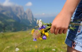MONTAGNA ESTATE 2018 – BORMIO – dall’11 al 19 agosto – Bus GT da RIMINI MONTAGNA ESTATE 2018 – BORMIO – dall’11 al 19 agosto – Bus GT da RIMINI