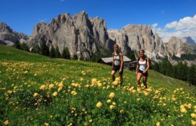 MONTAGNA ESTATE 2020 – PREDAZZO dal 9 al 16 agosto – BUS GT da RIMINI MONTAGNA ESTATE 2020 – PREDAZZO dal 9 al 16 agosto – BUS GT da RIMINI