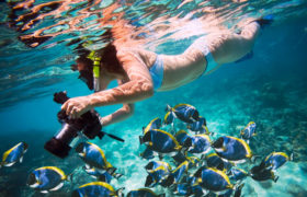 VOLO da RIMINI – SHARM EL SHEIKH – Eden Village TAMRA BEACH – Partenze 07, 14, 21 e 28 ottobre 2018 VOLO da RIMINI – SHARM EL SHEIKH – Eden Village TAMRA BEACH – Partenze 07, 14, 21 e 28 ottobre 2018