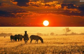 SUDAFRICA – Tour Perle Sudafricane – partenza 03/12/2018 – volo da BOLOGNA SUDAFRICA – Tour Perle Sudafricane – partenza 03/12/2018 – volo da BOLOGNA