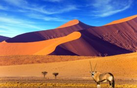 NAMIBIA – partenza 18 ottobre 2019 con accompagnatore – volo da Bologna NAMIBIA – partenza 18 ottobre 2019 con accompagnatore – volo da Bologna