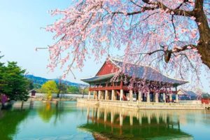 COREA DEL SUD – partenza 13 aprile 2020 con accompagnatore – Volo da Bologna COREA DEL SUD – partenza 13 aprile 2020 con accompagnatore – Volo da Bologna