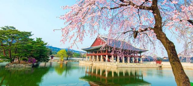 VIAGGI FIRMATI ROBINTUR – ” COREA DEL SUD ” – dal 13 al 22 aprile 2020 – Volo da Bologna VIAGGI FIRMATI ROBINTUR – ” COREA DEL SUD ” – dal 13 al 22 aprile 2020 – Volo da Bologna
